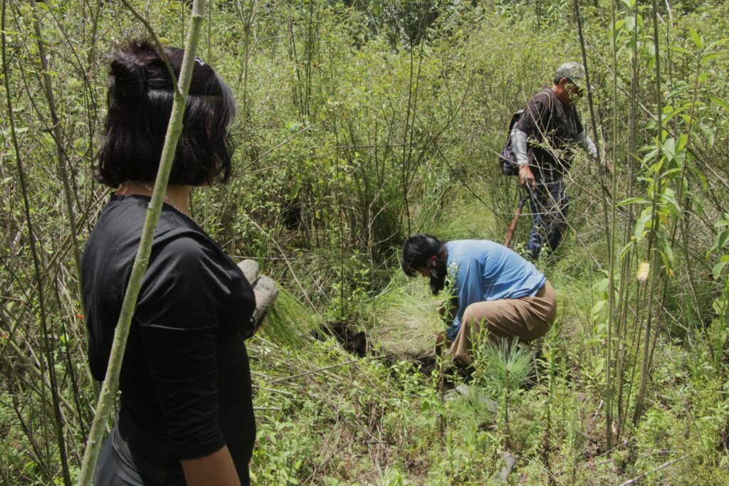 Jóvenes reforestando el paraje "El Jardín".
